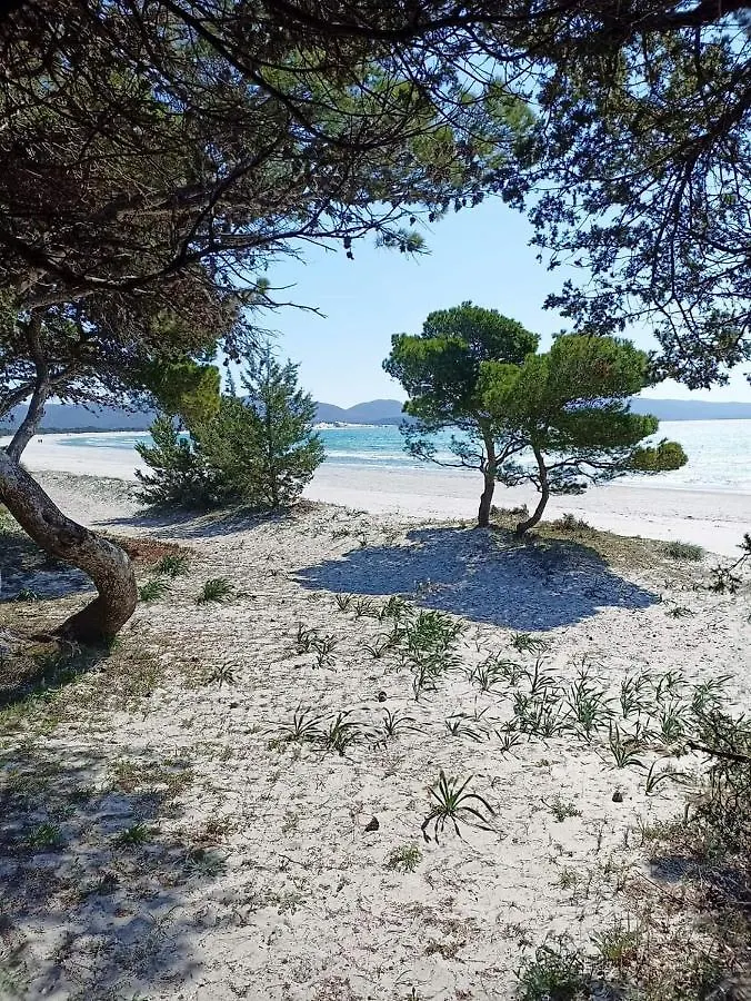 Casa Flavio Apartman Porto Pino