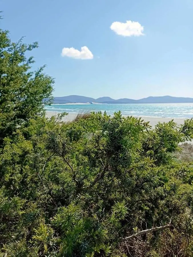 Casa Flavio Apartman Porto Pino